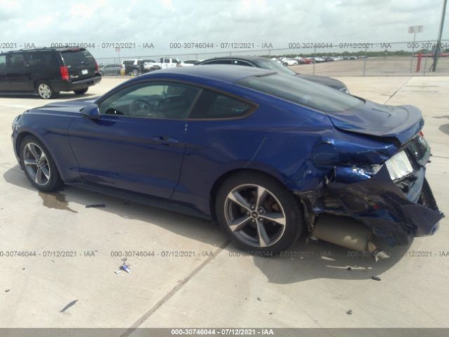 Photo 2 VIN: 1FA6P8AM5F5314007 - FORD MUSTANG 