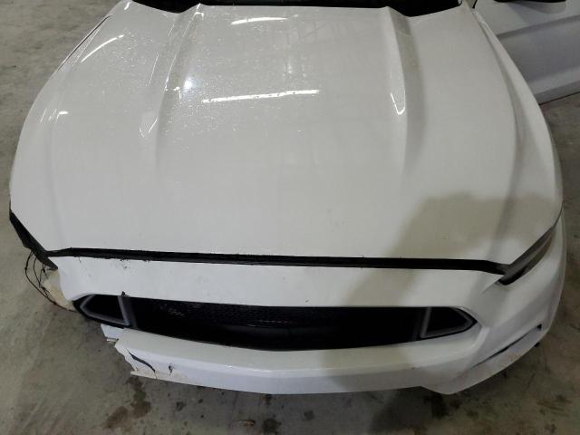 Photo 10 VIN: 1FA6P8AM5F5321782 - FORD MUSTANG 