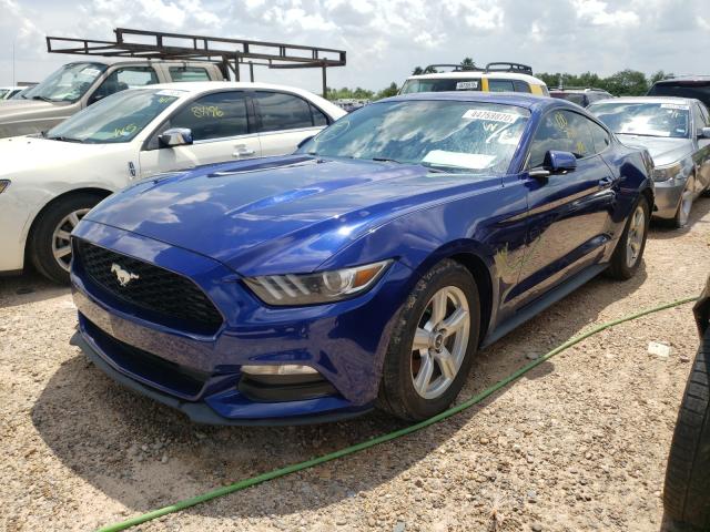 Photo 1 VIN: 1FA6P8AM5F5342356 - FORD MUSTANG 