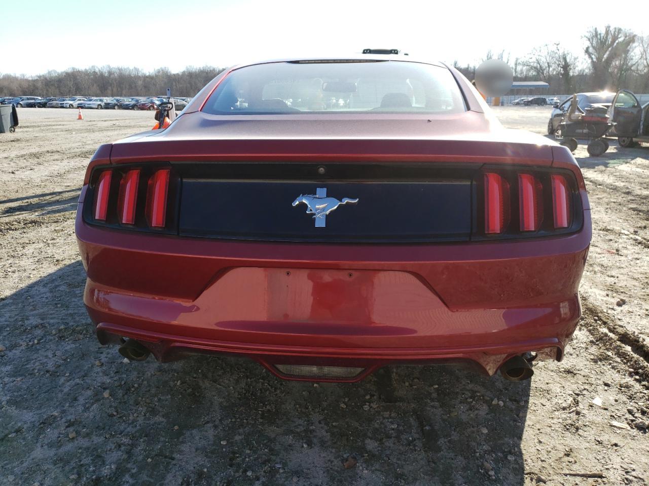 Photo 5 VIN: 1FA6P8AM5F5346679 - FORD MUSTANG 