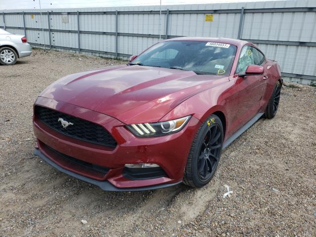 Photo 1 VIN: 1FA6P8AM5F5349842 - FORD MUSTANG 