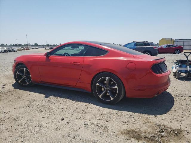 Photo 1 VIN: 1FA6P8AM5F5352742 - FORD MUSTANG 