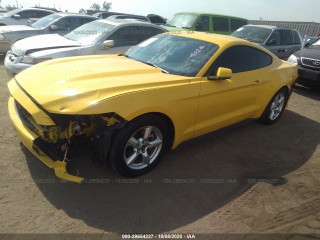 Photo 1 VIN: 1FA6P8AM5F5355768 - FORD MUSTANG 