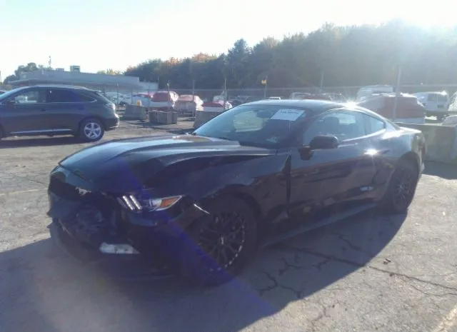 Photo 1 VIN: 1FA6P8AM5F5356936 - FORD MUSTANG 