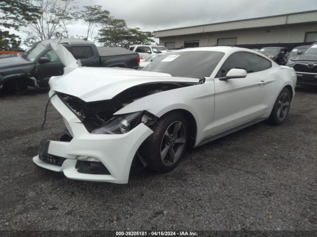 Photo 1 VIN: 1FA6P8AM5F5359495 - FORD MUSTANG 