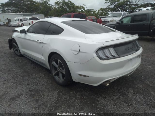 Photo 2 VIN: 1FA6P8AM5F5359495 - FORD MUSTANG 