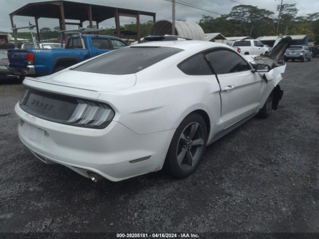 Photo 3 VIN: 1FA6P8AM5F5359495 - FORD MUSTANG 