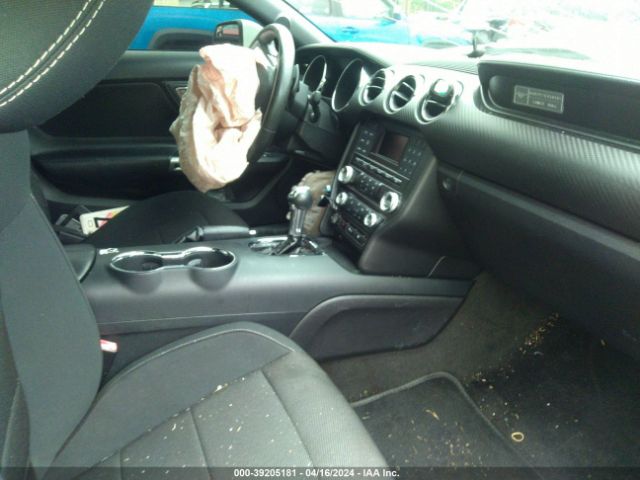 Photo 4 VIN: 1FA6P8AM5F5359495 - FORD MUSTANG 