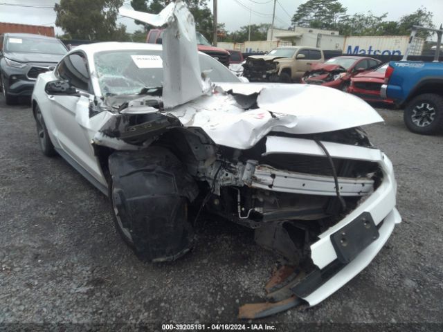 Photo 5 VIN: 1FA6P8AM5F5359495 - FORD MUSTANG 