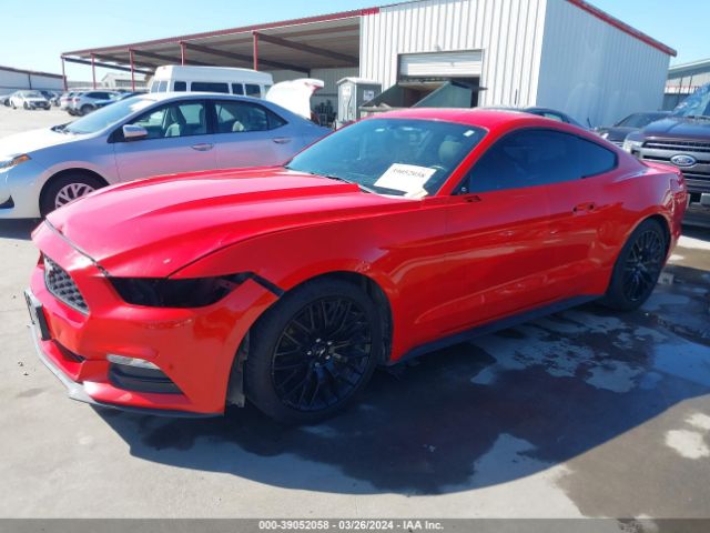 Photo 1 VIN: 1FA6P8AM5F5362543 - FORD MUSTANG 