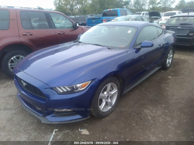 Photo 1 VIN: 1FA6P8AM5F5399494 - FORD MUSTANG 