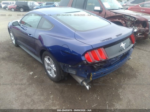 Photo 5 VIN: 1FA6P8AM5F5399494 - FORD MUSTANG 