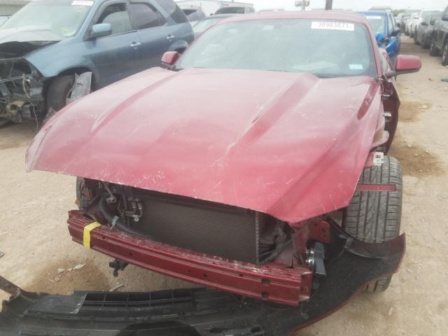 Photo 8 VIN: 1FA6P8AM5G5220033 - FORD MUSTANG 