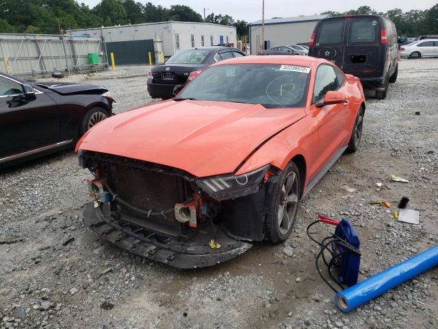 Photo 1 VIN: 1FA6P8AM5G5240444 - FORD MUSTANG 