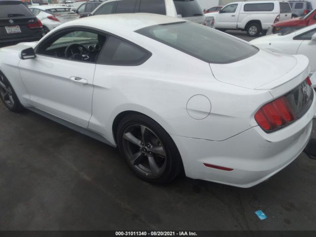 Photo 2 VIN: 1FA6P8AM5G5243473 - FORD MUSTANG 