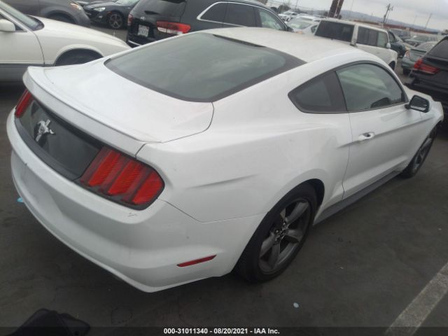 Photo 3 VIN: 1FA6P8AM5G5243473 - FORD MUSTANG 