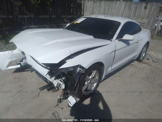 Photo 1 VIN: 1FA6P8AM5G5298571 - FORD MUSTANG 