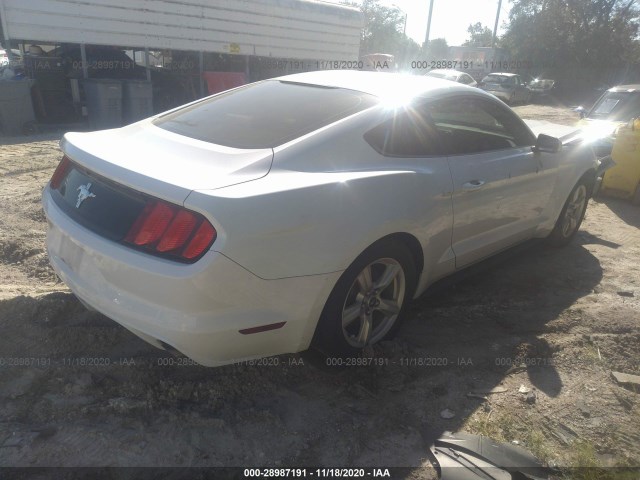 Photo 3 VIN: 1FA6P8AM5G5298571 - FORD MUSTANG 