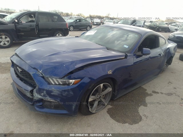 Photo 1 VIN: 1FA6P8AM5G5317507 - FORD MUSTANG 