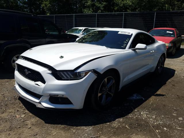 Photo 1 VIN: 1FA6P8AM5G5331181 - FORD MUSTANG 