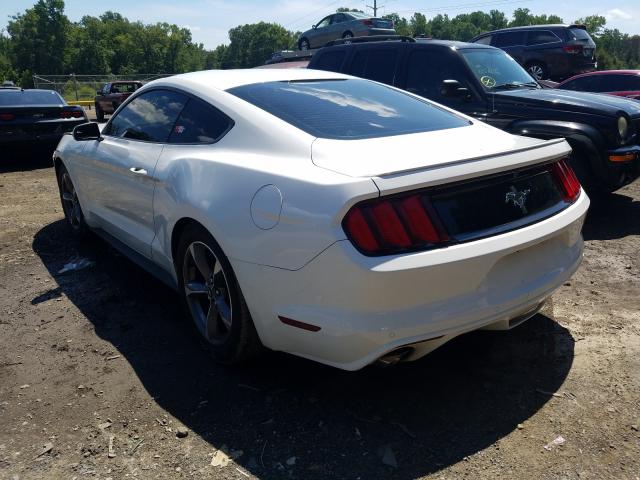 Photo 2 VIN: 1FA6P8AM5G5331181 - FORD MUSTANG 