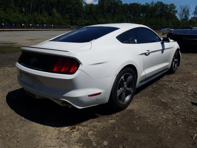 Photo 3 VIN: 1FA6P8AM5G5331181 - FORD MUSTANG 