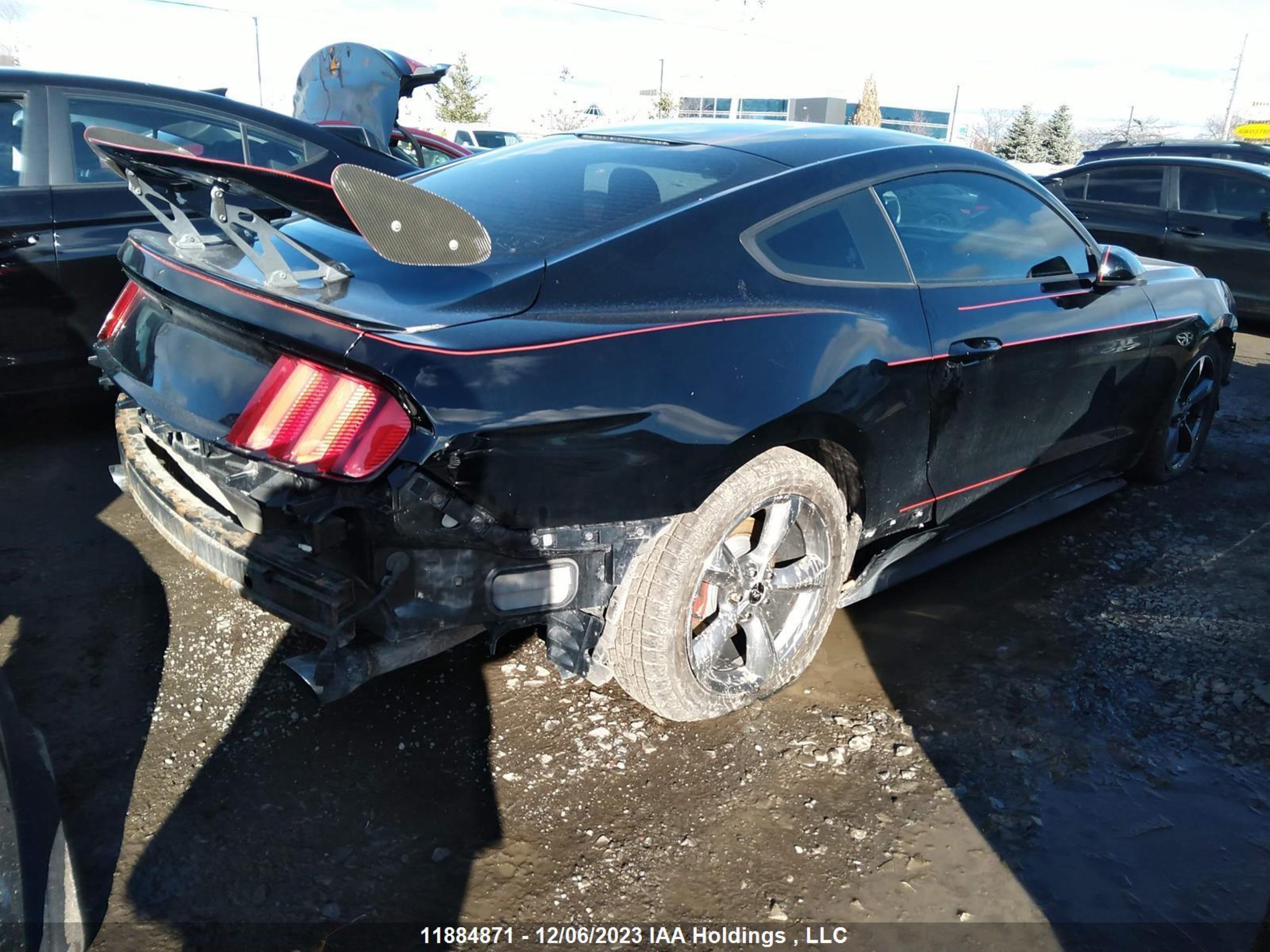 Photo 3 VIN: 1FA6P8AM5H5222155 - FORD MUSTANG 