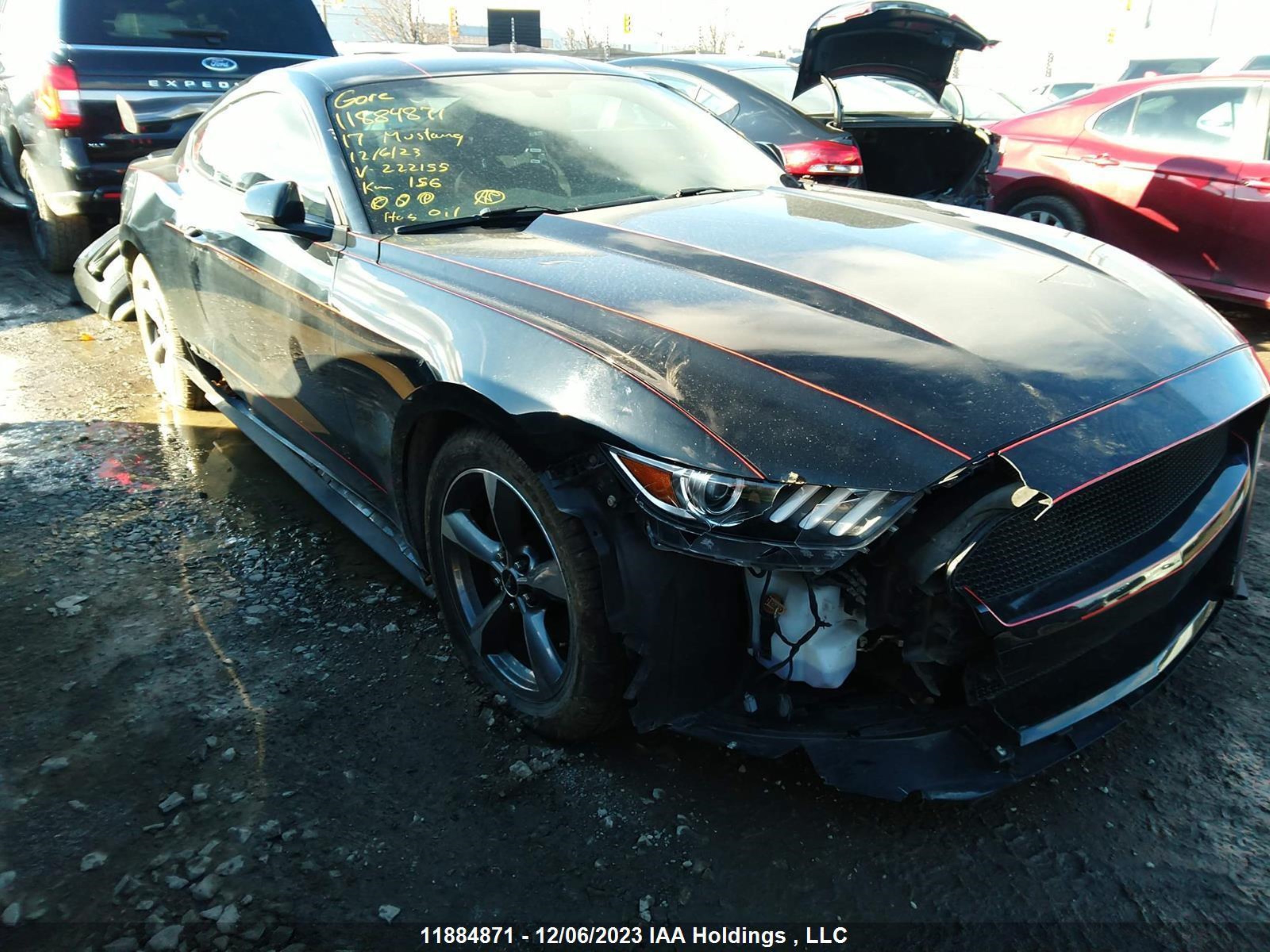 Photo 5 VIN: 1FA6P8AM5H5222155 - FORD MUSTANG 