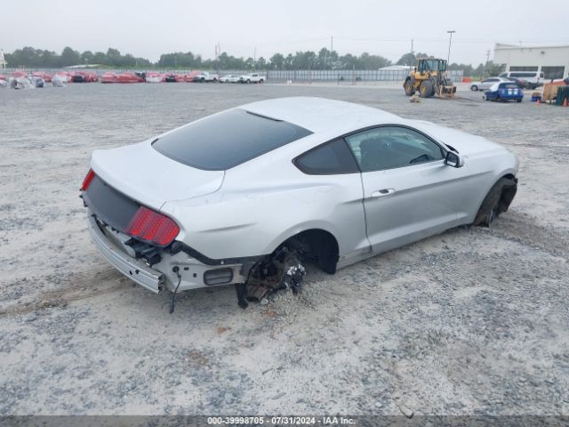 Photo 3 VIN: 1FA6P8AM5H5230076 - FORD MUSTANG 