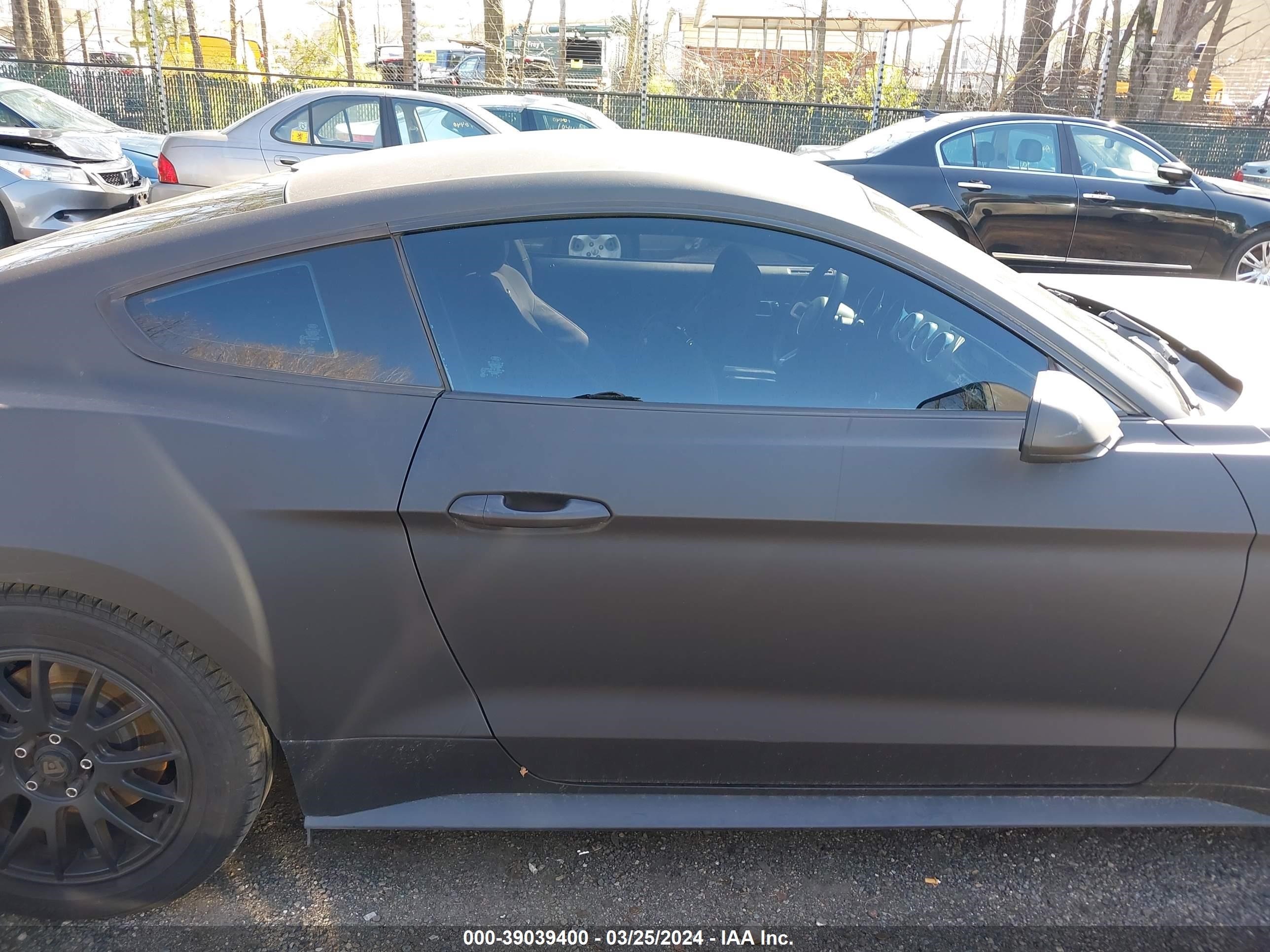 Photo 12 VIN: 1FA6P8AM5H5259285 - FORD MUSTANG 