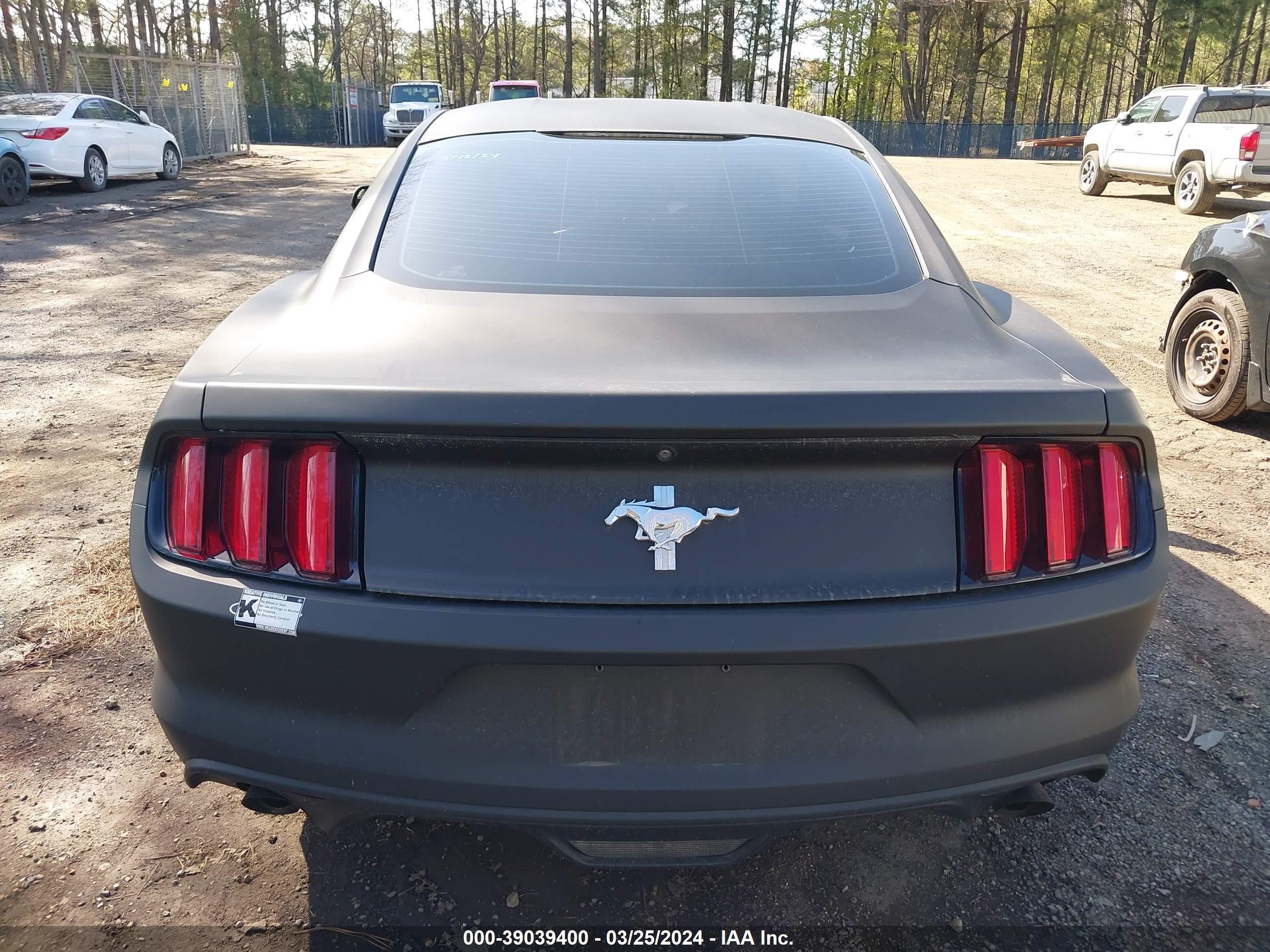 Photo 15 VIN: 1FA6P8AM5H5259285 - FORD MUSTANG 