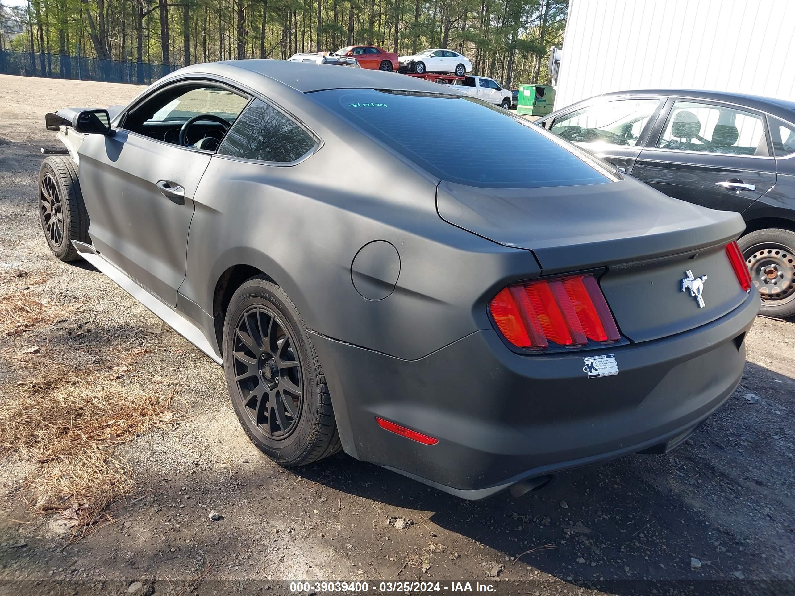 Photo 2 VIN: 1FA6P8AM5H5259285 - FORD MUSTANG 