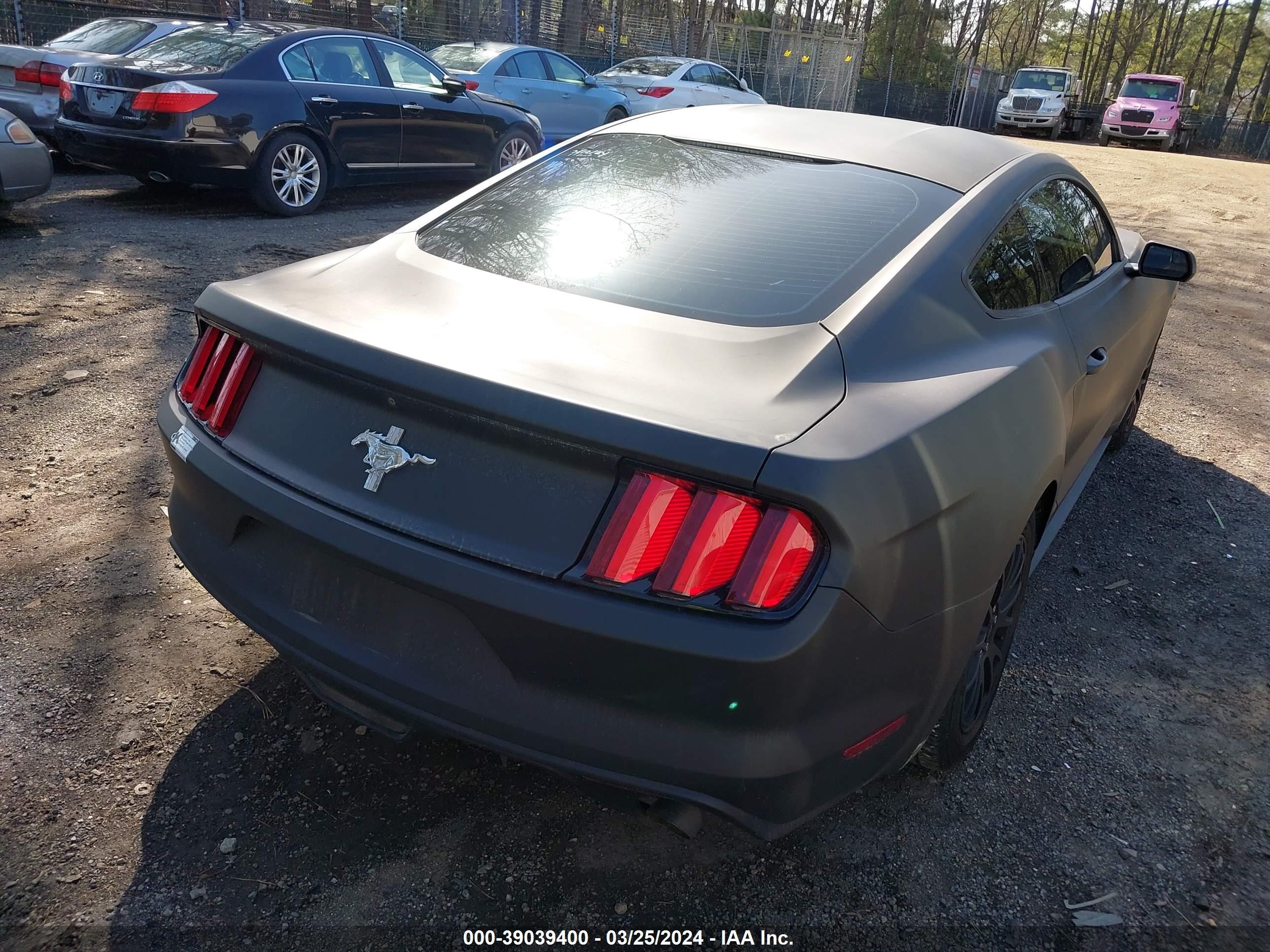 Photo 3 VIN: 1FA6P8AM5H5259285 - FORD MUSTANG 