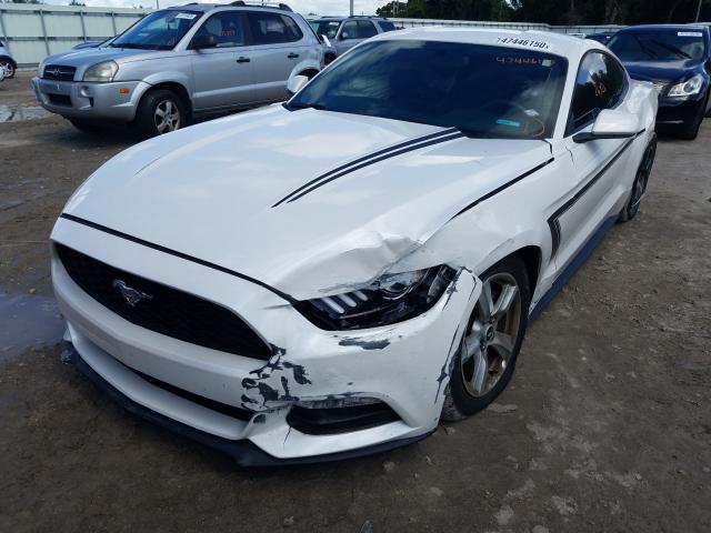 Photo 1 VIN: 1FA6P8AM5H5263823 - FORD MUSTANG 