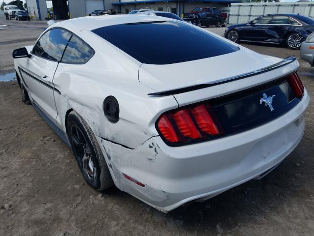 Photo 2 VIN: 1FA6P8AM5H5263823 - FORD MUSTANG 