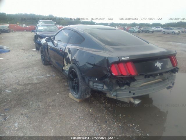 Photo 2 VIN: 1FA6P8AM5H5265166 - FORD MUSTANG 