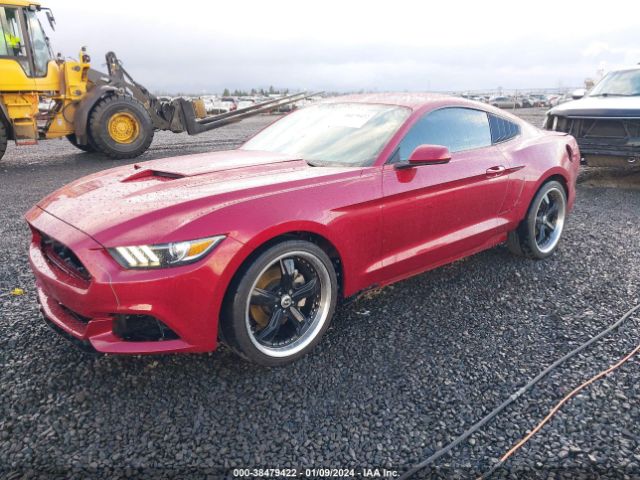 Photo 1 VIN: 1FA6P8AM5H5266608 - FORD MUSTANG 