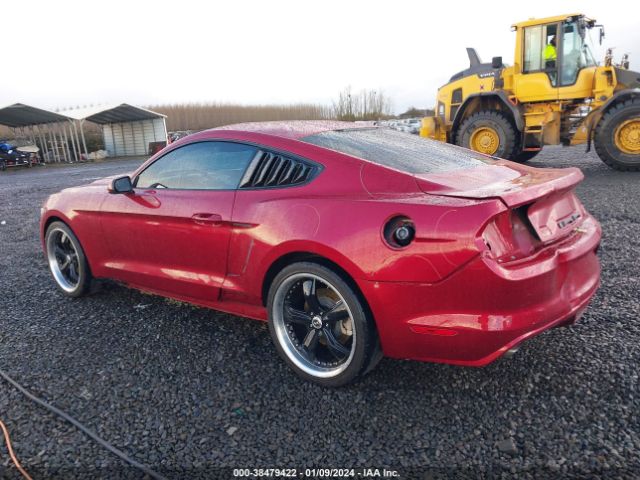 Photo 2 VIN: 1FA6P8AM5H5266608 - FORD MUSTANG 