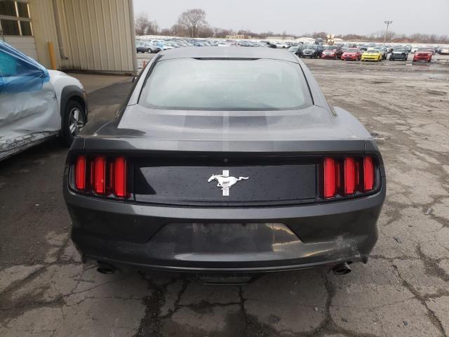 Photo 5 VIN: 1FA6P8AM5H5316567 - FORD MUSTANG 