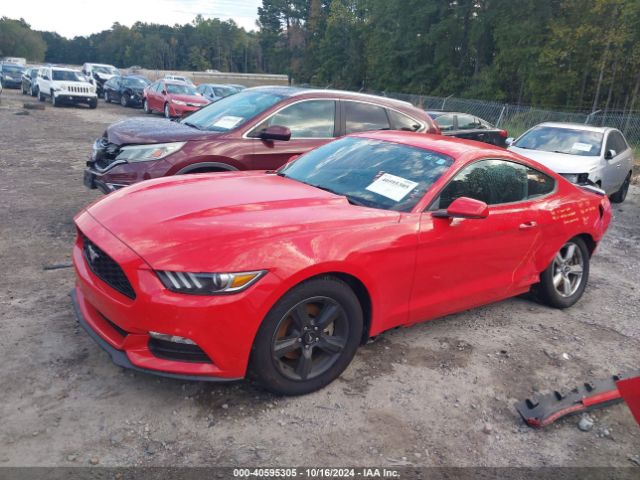 Photo 1 VIN: 1FA6P8AM5H5322675 - FORD MUSTANG 