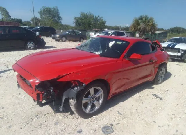 Photo 1 VIN: 1FA6P8AM5H5328086 - FORD MUSTANG 