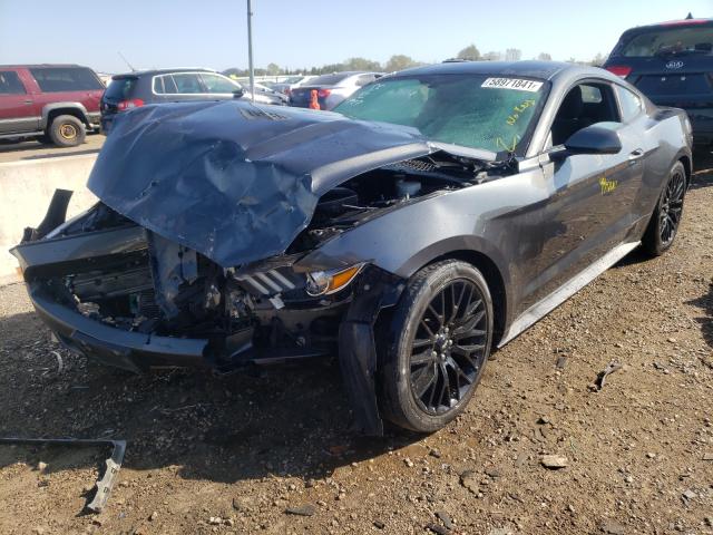 Photo 1 VIN: 1FA6P8AM5H5335605 - FORD MUSTANG 