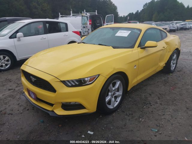 Photo 1 VIN: 1FA6P8AM5H5339511 - FORD MUSTANG 