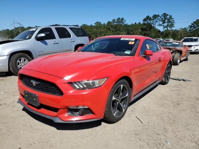 Photo 1 VIN: 1FA6P8AM6F5315036 - FORD MUSTANG 