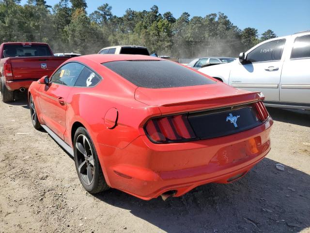 Photo 2 VIN: 1FA6P8AM6F5315036 - FORD MUSTANG 