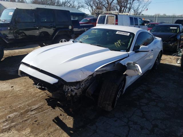 Photo 1 VIN: 1FA6P8AM6F5318499 - FORD MUSTANG 