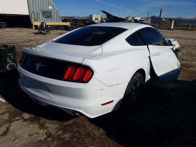 Photo 3 VIN: 1FA6P8AM6F5318499 - FORD MUSTANG 