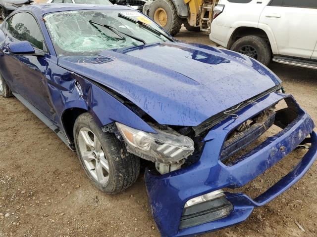 Photo 8 VIN: 1FA6P8AM6F5322200 - FORD MUSTANG 