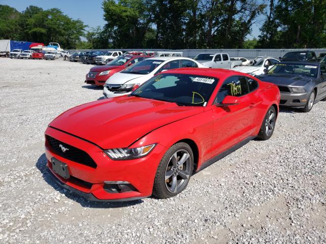 Photo 1 VIN: 1FA6P8AM6F5335691 - FORD MUSTANG 