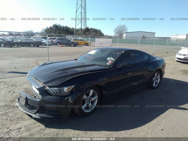 Photo 1 VIN: 1FA6P8AM6F5336274 - FORD MUSTANG 